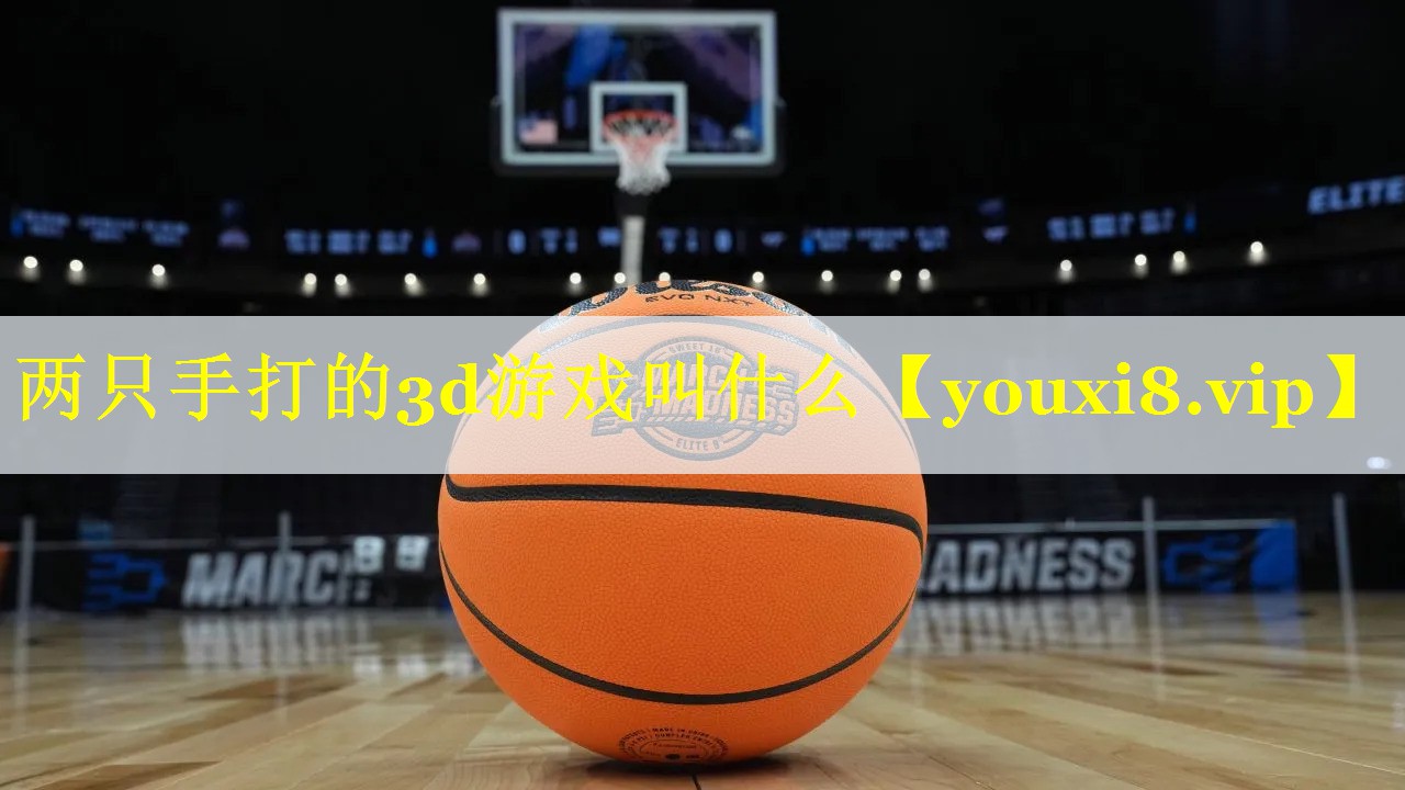 两只手打的3d游戏叫什么